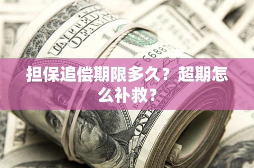 济南担保追偿期限多久？超期怎么补救？