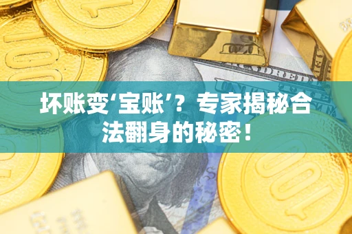济南坏账变‘宝账’？专家揭秘合法翻身的秘密！