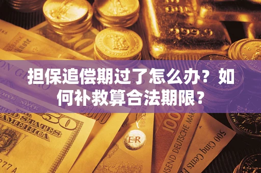 济南担保追偿期过了怎么办？如何补救算合法期限？